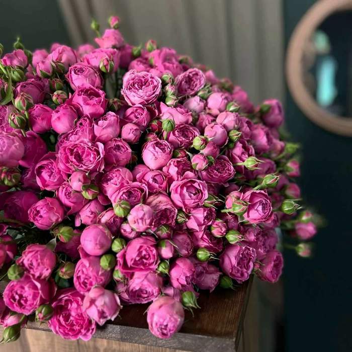 Букет пионовидных роз 45 шт.